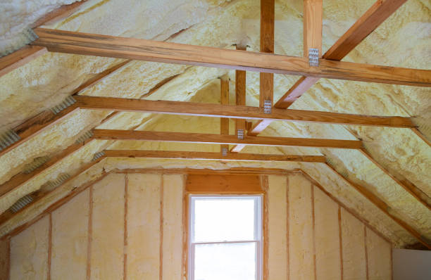 Best Residential Insulation in Braham, MN