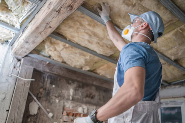 Best Energy Efficiency Solutions in Braham, MN